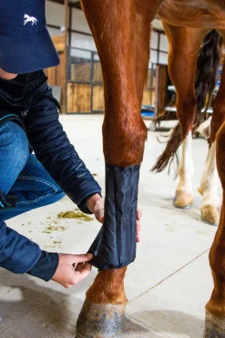 New Ice-Vibe belegg Nettdrevne Gjerdeapparater & Batteridrevne Gjerdeapparater|Belegg Til Hest