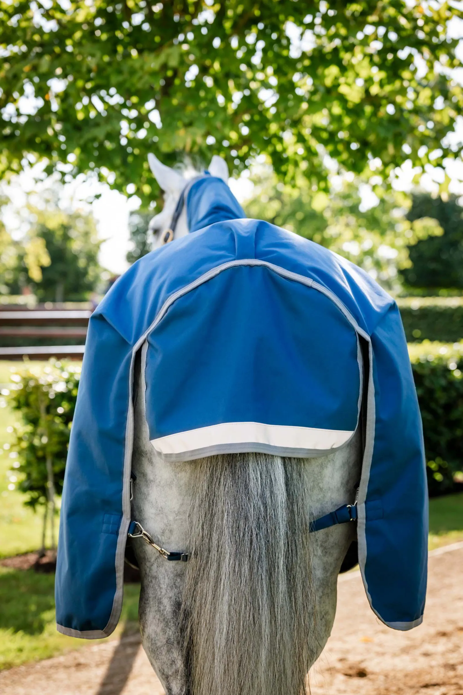 Clearance Ionic Therapy Utedekken, 100g Terapidekken