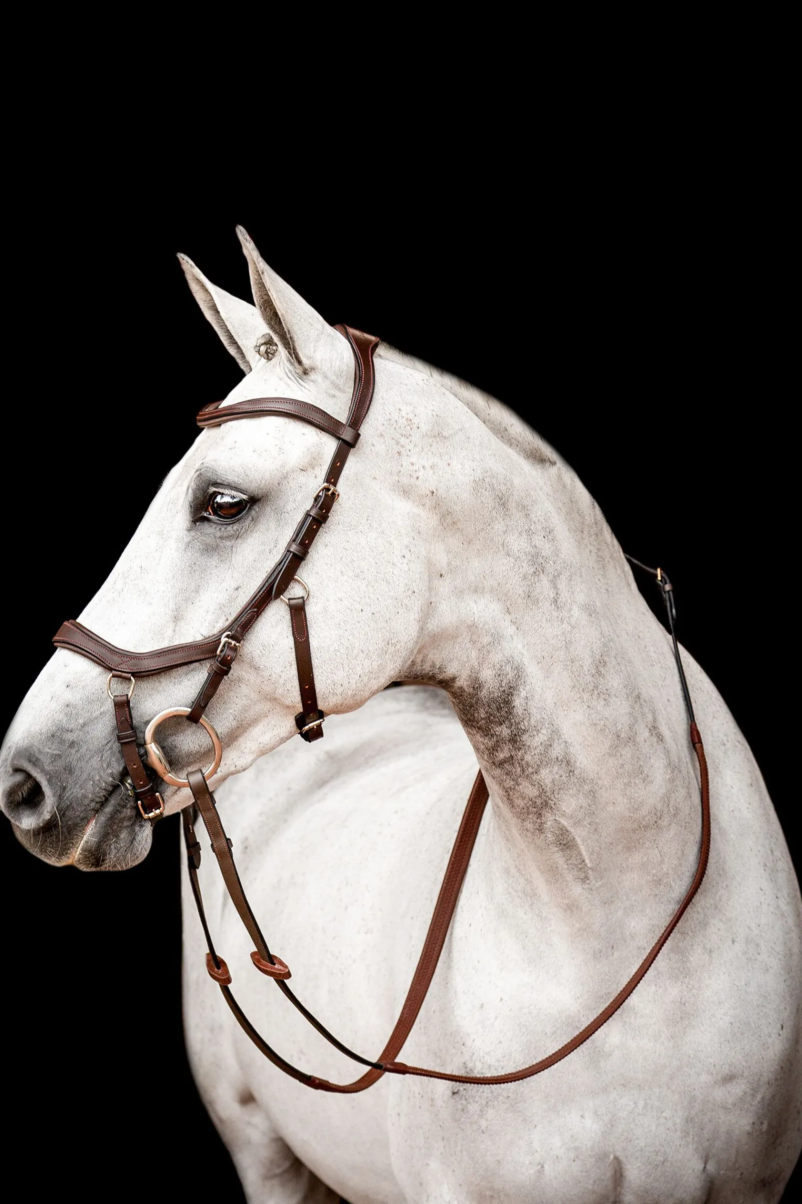 Discount Micklem 2 Competition hodelag med gummitøyler Ponni Hodelag Og Grimer|Hodelag & Nesereimer