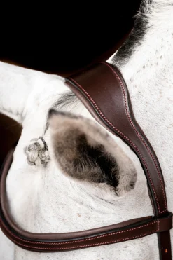 Discount Micklem 2 Competition hodelag med gummitøyler Ponni Hodelag Og Grimer|Hodelag & Nesereimer