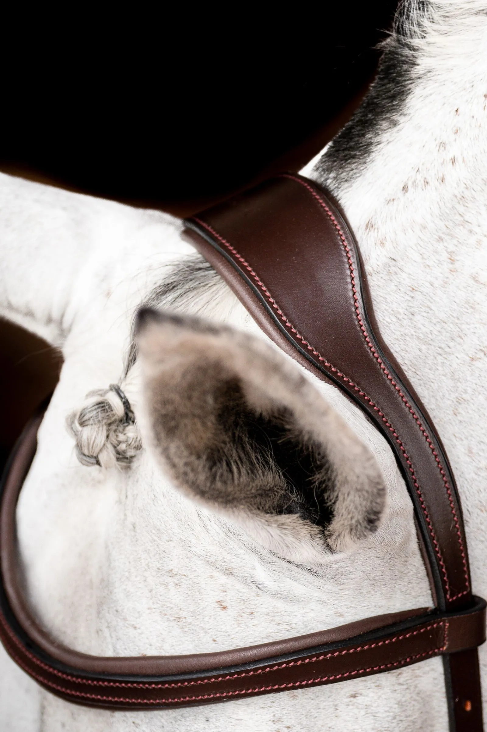 Discount Micklem 2 Competition hodelag med gummitøyler Ponni Hodelag Og Grimer|Hodelag & Nesereimer