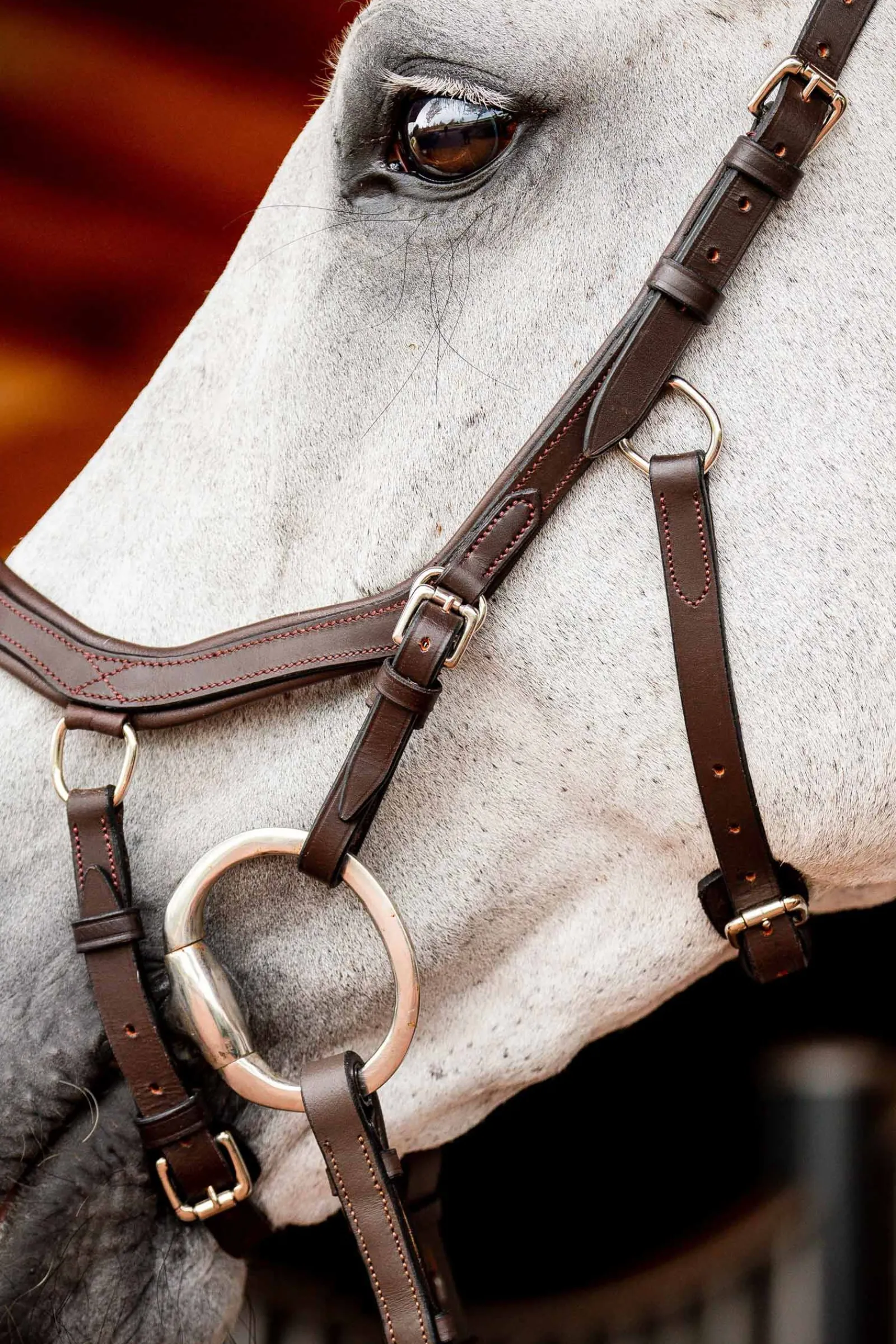 Discount Micklem 2 Competition hodelag med gummitøyler Ponni Hodelag Og Grimer|Hodelag & Nesereimer