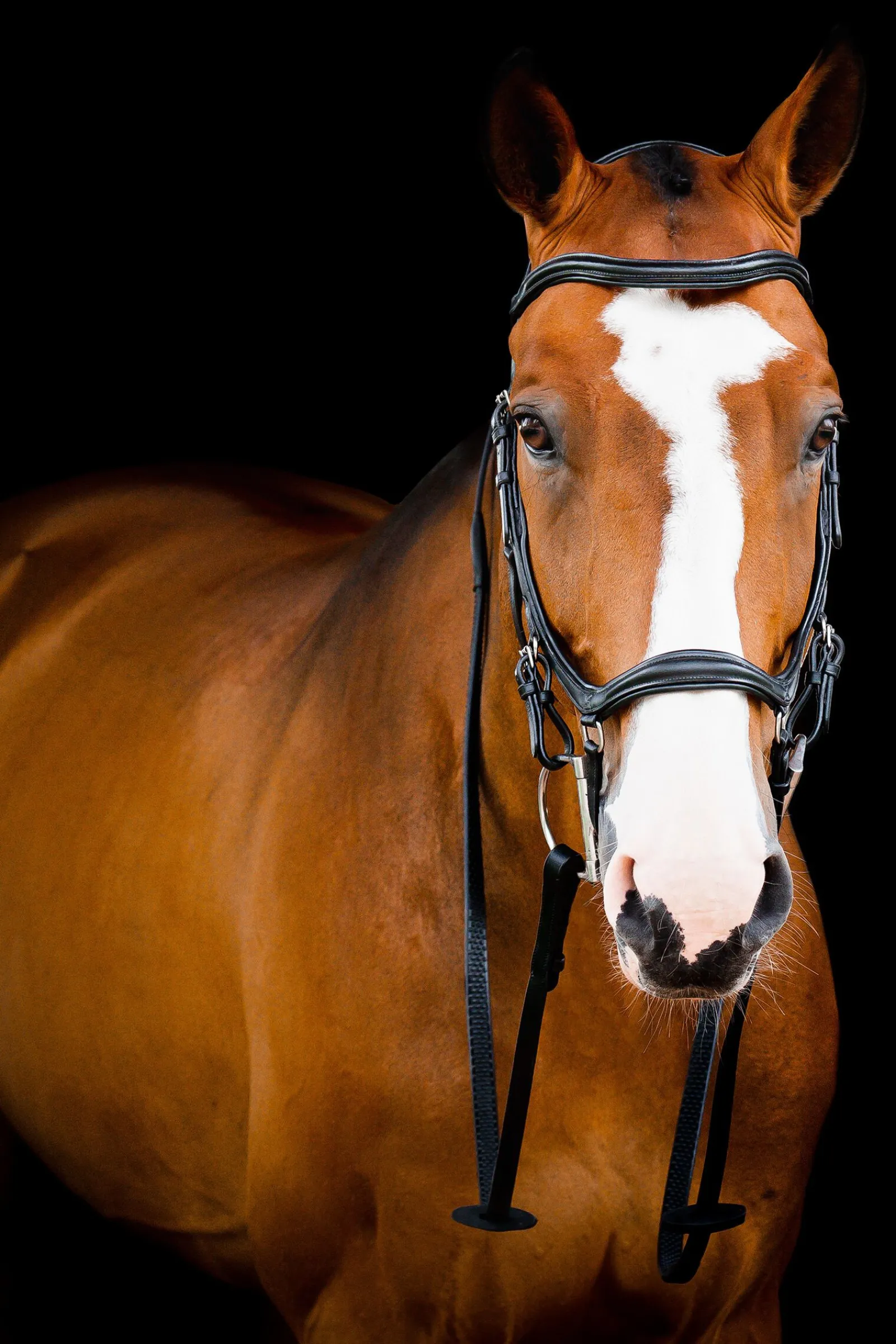 Hot Micklem 2 Deluxe Competition Hodelag Ponni Hodelag Og Grimer|Hodelag & Nesereimer