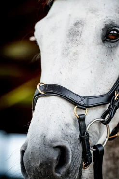 Hot Micklem 2 Multi Hodelag Ponni Hodelag Og Grimer|Hodelag & Nesereimer