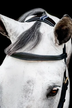 Hot Micklem 2 Multi Hodelag Ponni Hodelag Og Grimer|Hodelag & Nesereimer