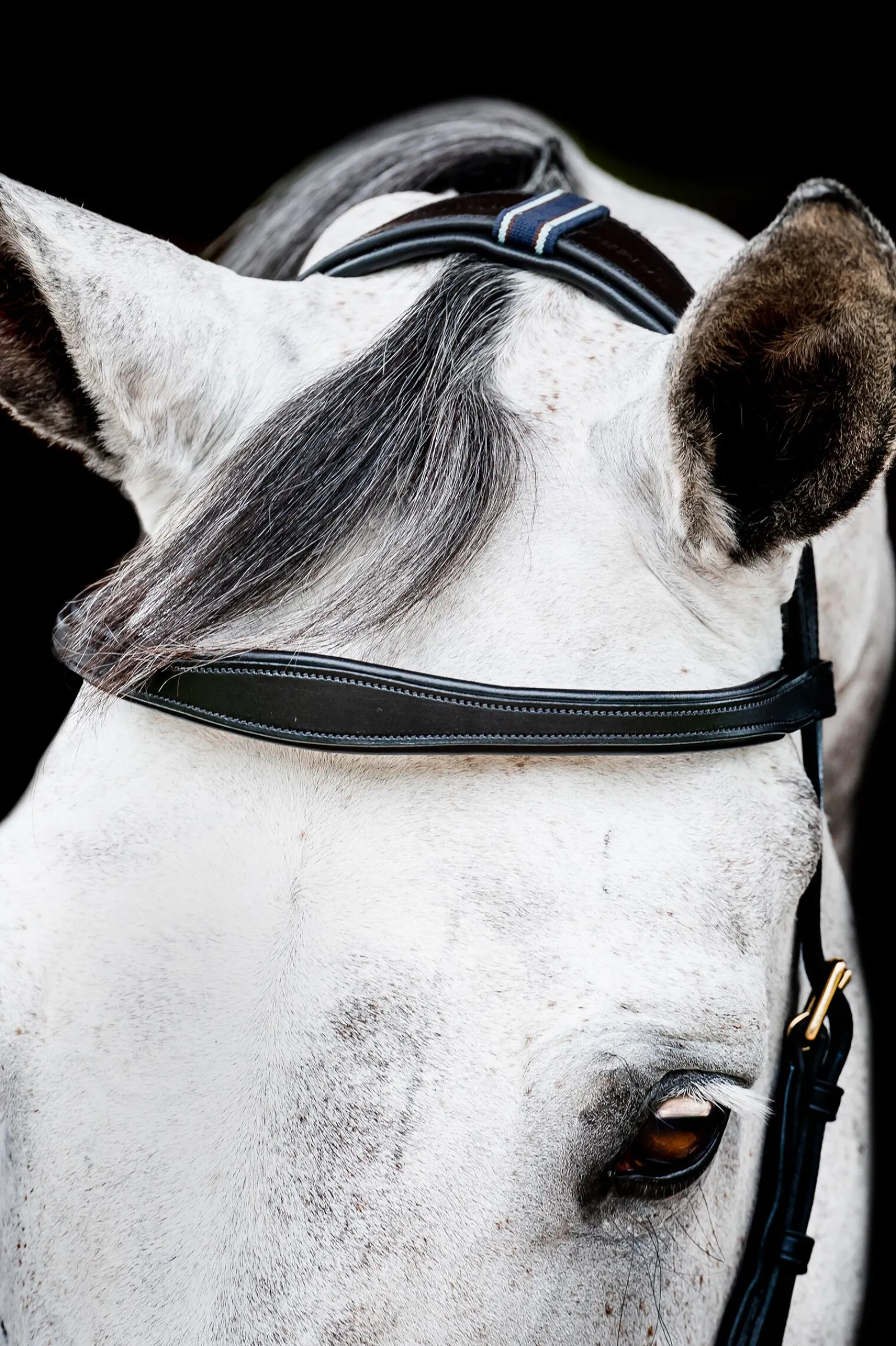 Hot Micklem 2 Multi Hodelag Ponni Hodelag Og Grimer|Hodelag & Nesereimer