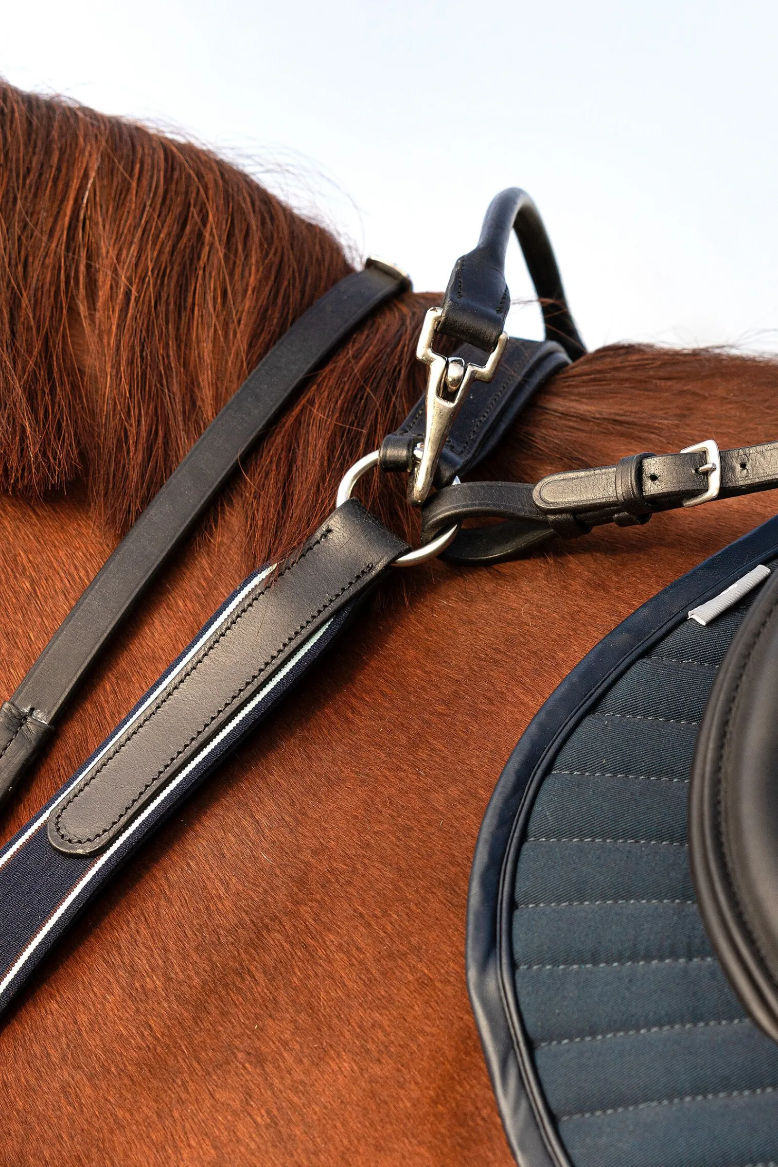 Online Rambo Micklem fortøy Fortøy