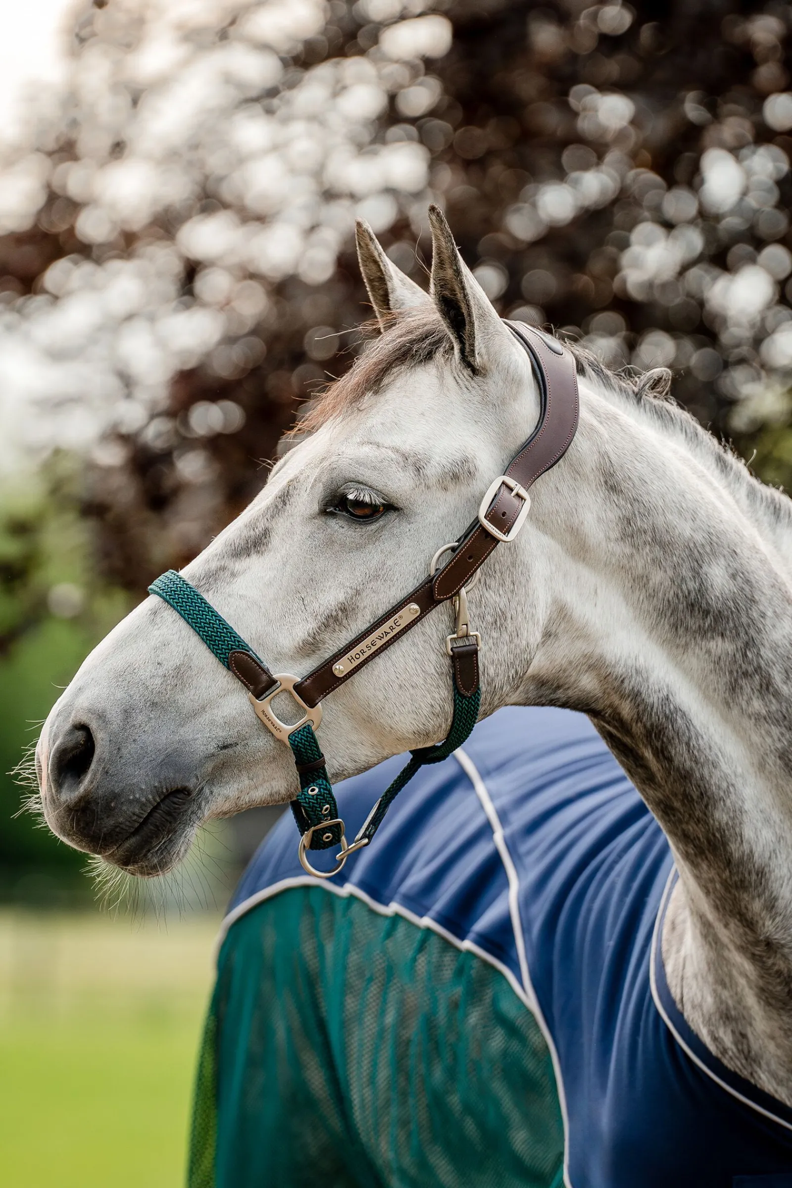 Discount Signature flettet grime Grimer