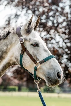 Discount Signature flettet grime Grimer