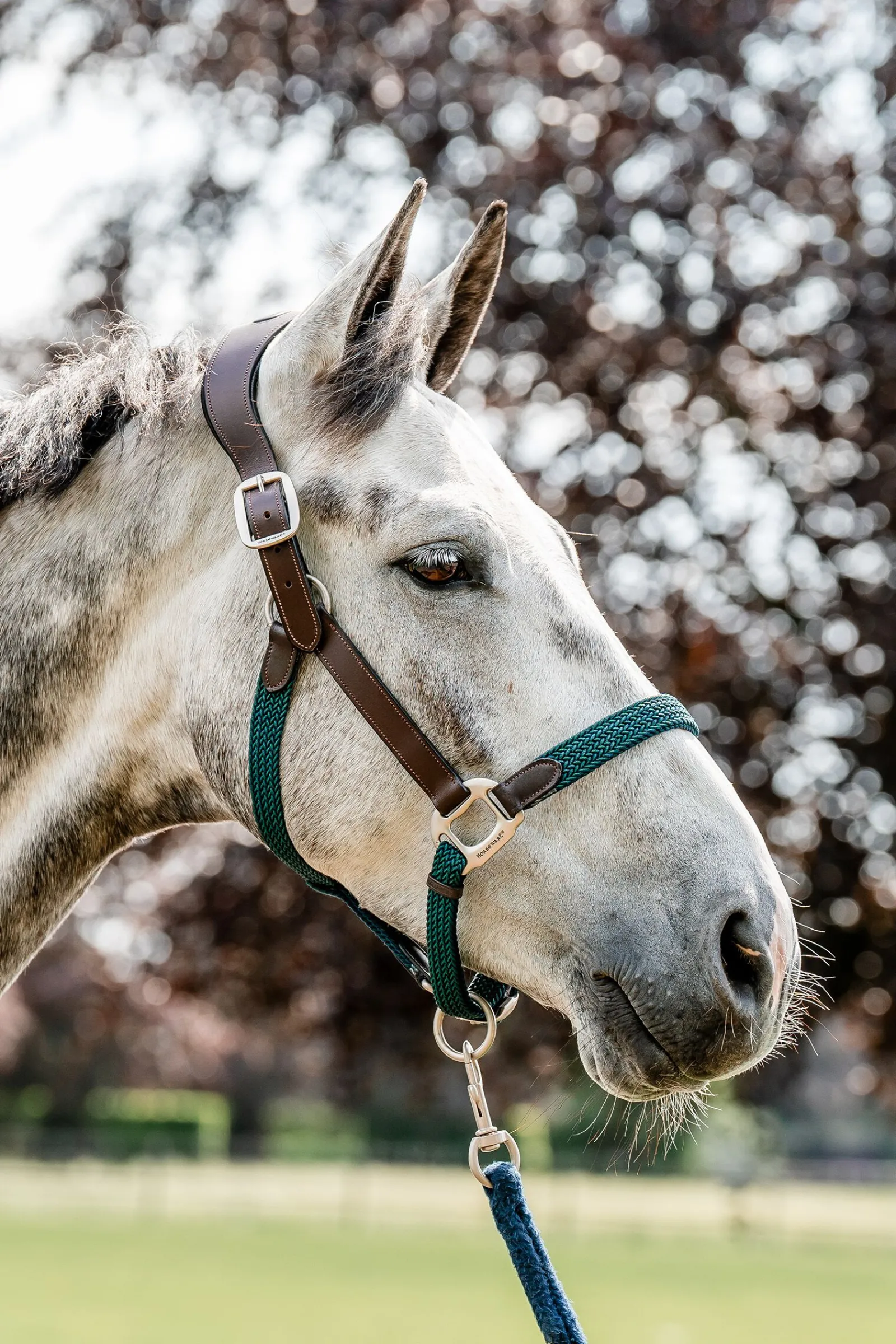 Discount Signature flettet grime Grimer