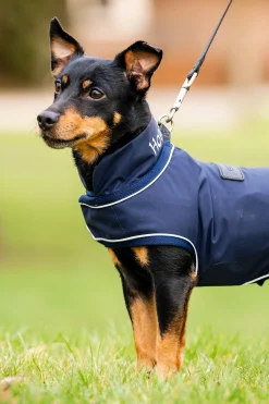 Outlet Signature Hunderegnfrakk Hundeklær Og Hundedekken