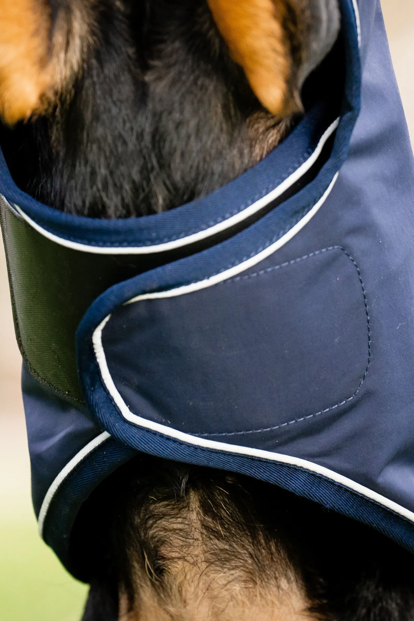 Outlet Signature Hunderegnfrakk Hundeklær Og Hundedekken