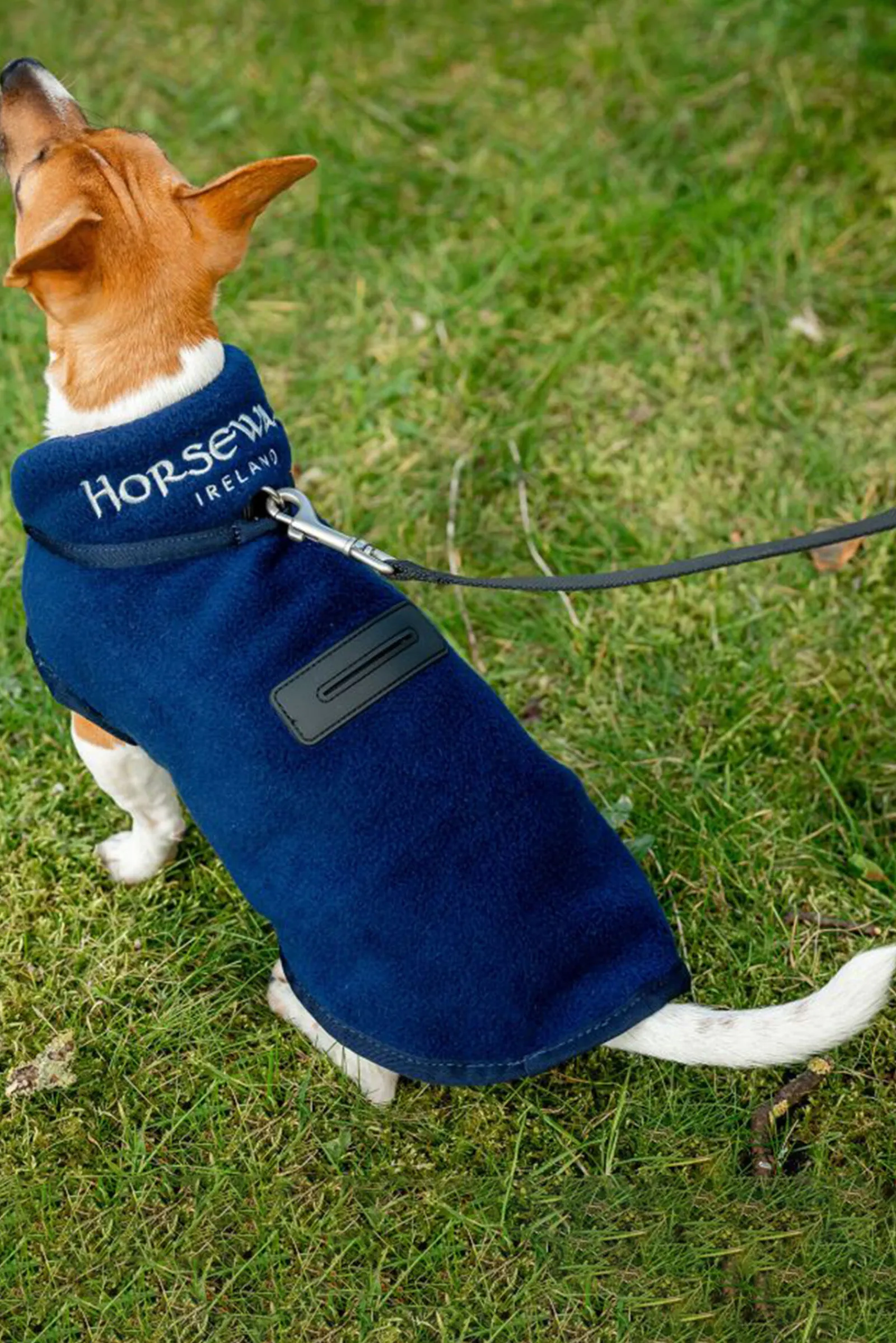 Signature Hundefleece-teppe Hundeklær Og Hundedekken