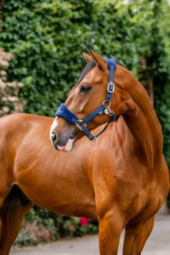 Clearance Signature Pleie Hodebånd Grimer