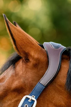 New Signature Show Halter Grimer