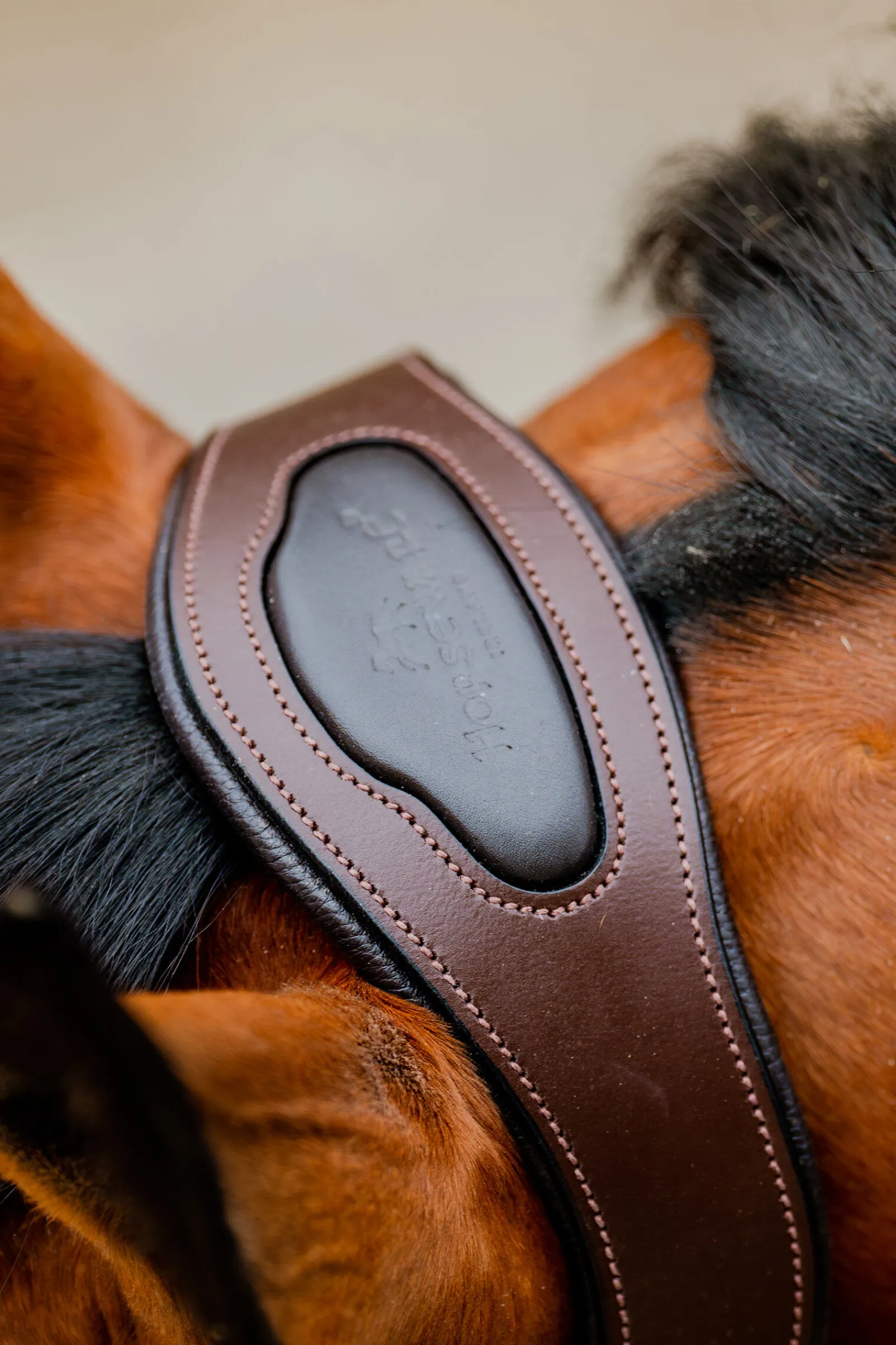 New Signature Show Halter Grimer