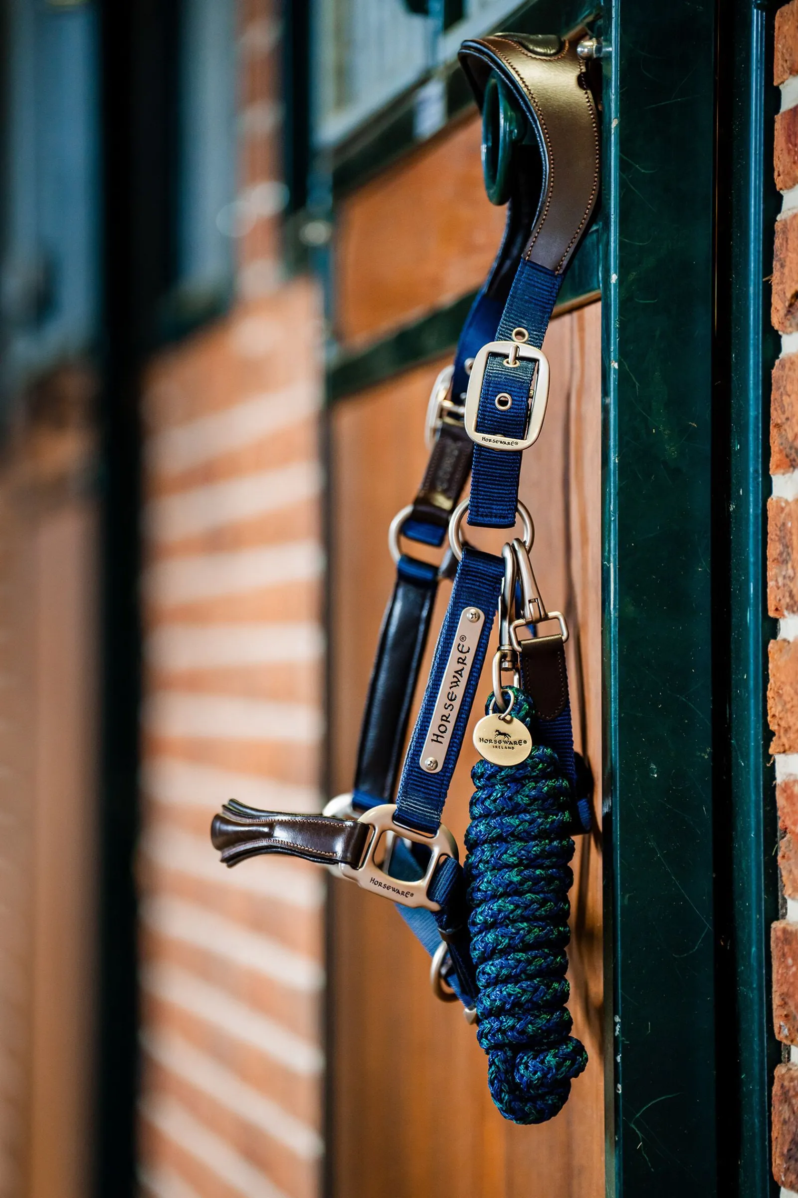 New Signature Show Halter Grimer