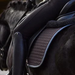 Sale Adepto allround sjabrak Ponni Sjabrak|Allround- Og Sprangsjabraker