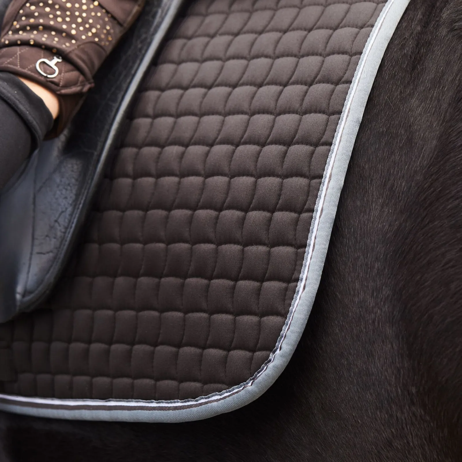 Sale Adepto allround sjabrak Ponni Sjabrak|Allround- Og Sprangsjabraker