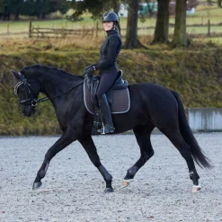 Sale Adepto allround sjabrak Ponni Sjabrak|Allround- Og Sprangsjabraker