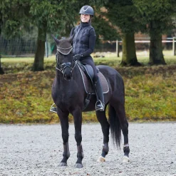 Sale Adepto allround sjabrak Ponni Sjabrak|Allround- Og Sprangsjabraker