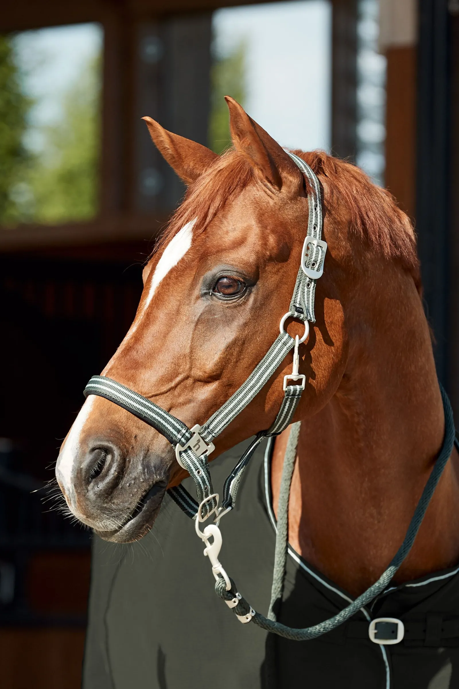 Best Bari grime og leietau, sett Grimer