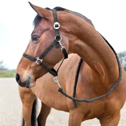 Best Basic leietau Leietau