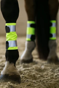 beinreflekser Refleks Til Hest|Refleks Til Hest