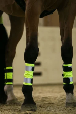 beinreflekser Refleks Til Hest|Refleks Til Hest