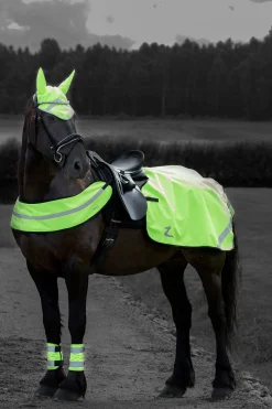 beinreflekser Refleks Til Hest|Refleks Til Hest