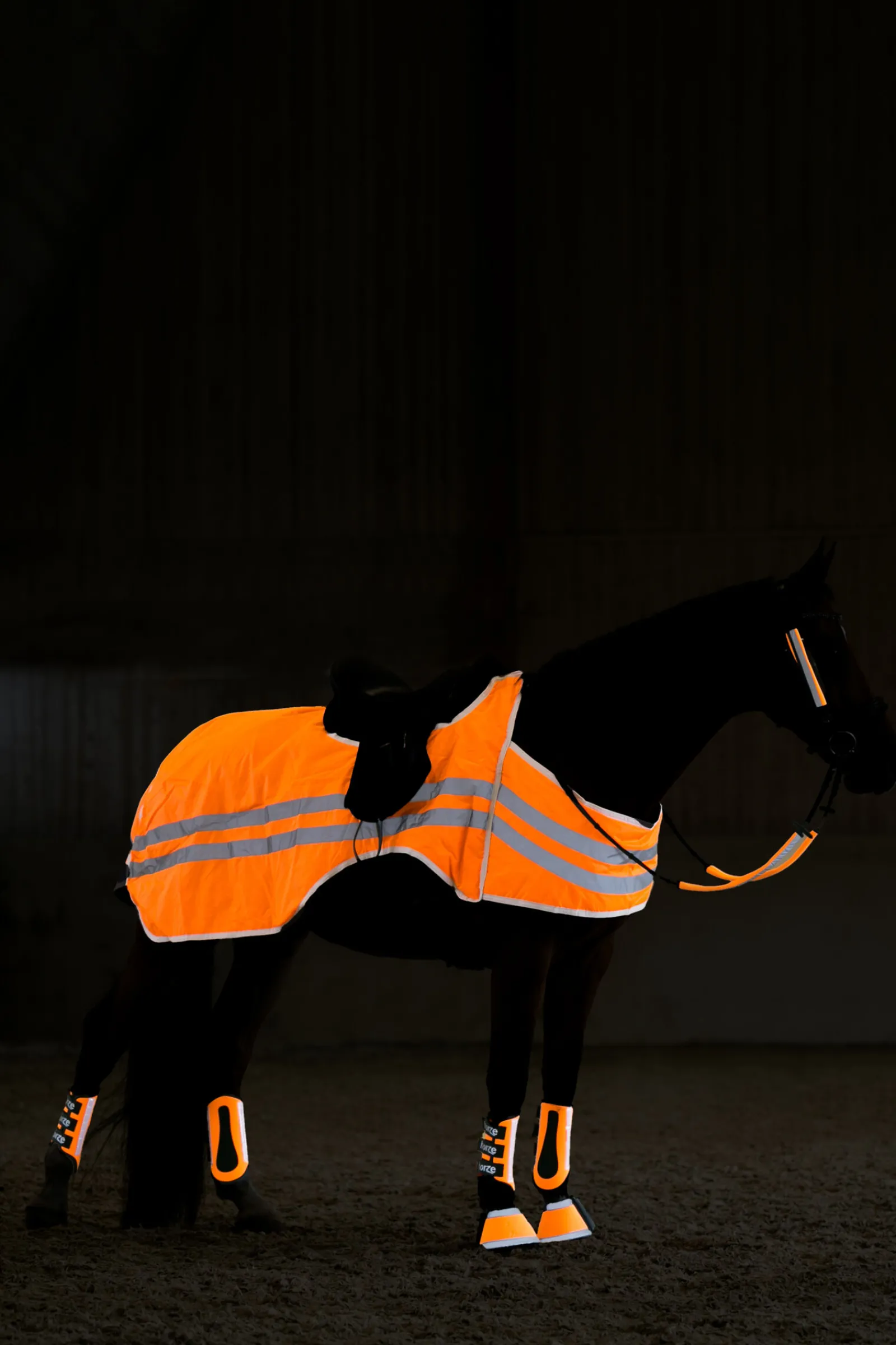 New bZeen refleks ridedekken Refleks Til Hest|Refleks Til Hest