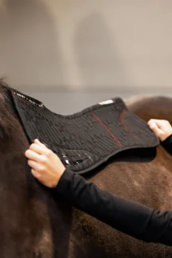 Sale Cairo Infra-Red halvpad Nettdrevne Gjerdeapparater & Batteridrevne Gjerdeapparater|Salpad