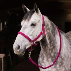 Best Chicago grime og leietau, sett Grimer