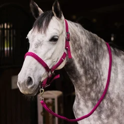 Best Chicago grime og leietau, sett Grimer