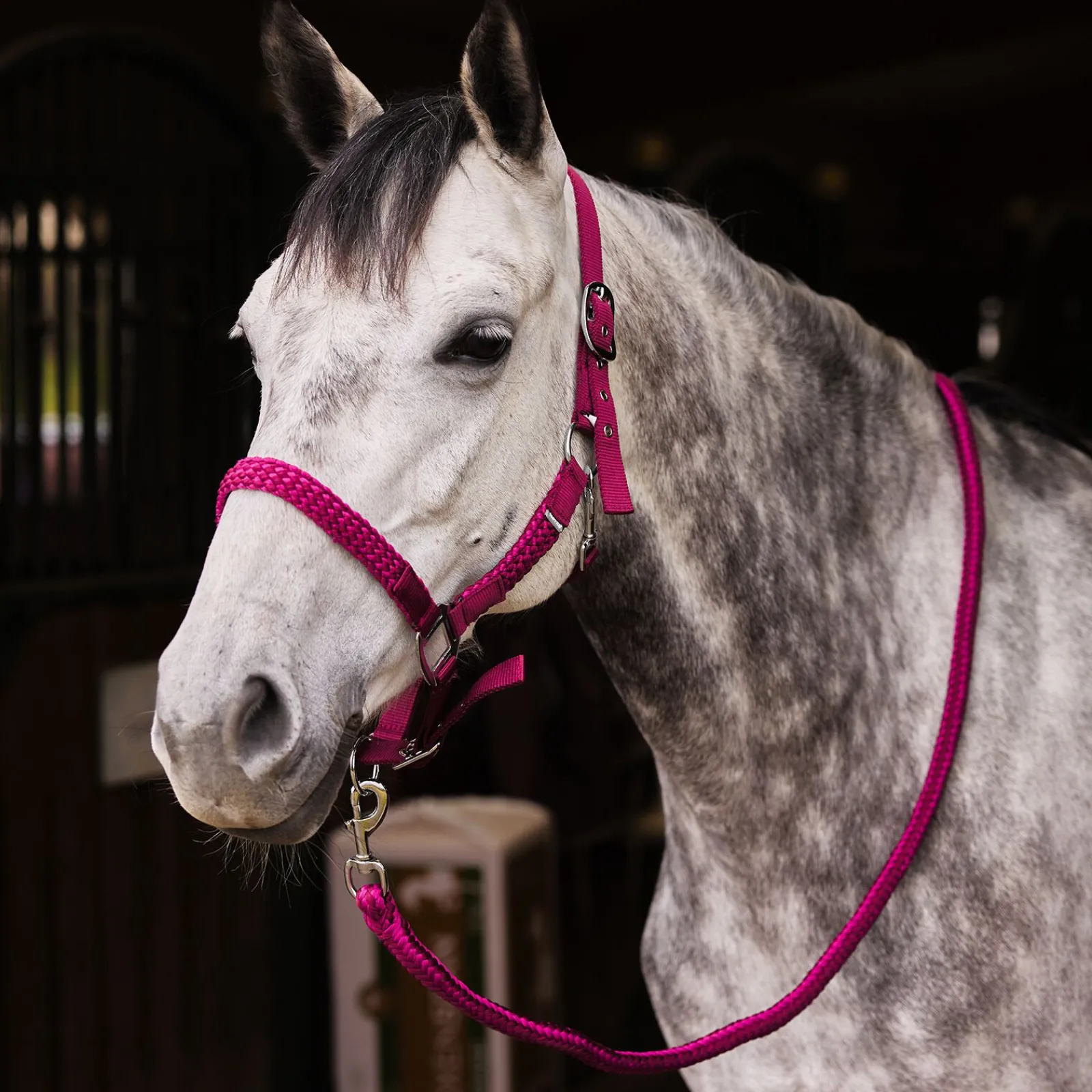 Best Chicago grime og leietau, sett Grimer