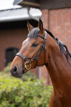 Online Chio hodelag Ponni Hodelag Og Grimer|Hodelag & Nesereimer