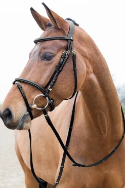 Best Constance polstret hodelag med flash-nesereim Hodelag & Nesereimer