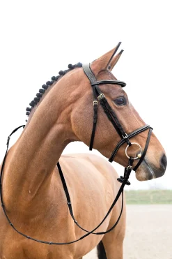 Best Constance polstret hodelag med flash-nesereim Hodelag & Nesereimer