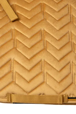 Outlet Delémont dressyrpad Dressursjabraker