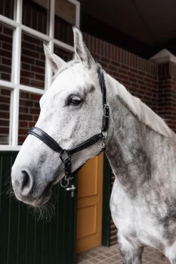 Hot Delémont lærgrime Grimer