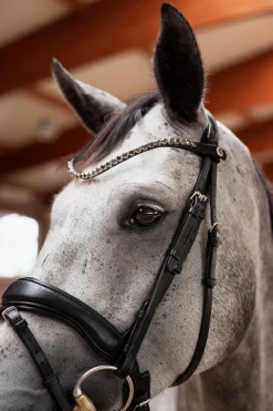 Outlet Delémont pannebånd Pannereim