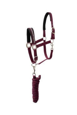 Best Eternal Gaze Grimesett Grimer