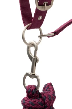 Best Eternal Gaze Grimesett Grimer