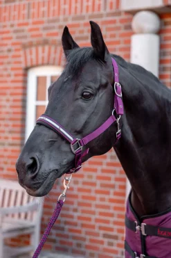 Best Eternal Gaze Grimesett Grimer