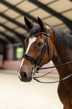 Clearance Glamourdale Weymouth hodelag Hodelag & Nesereimer