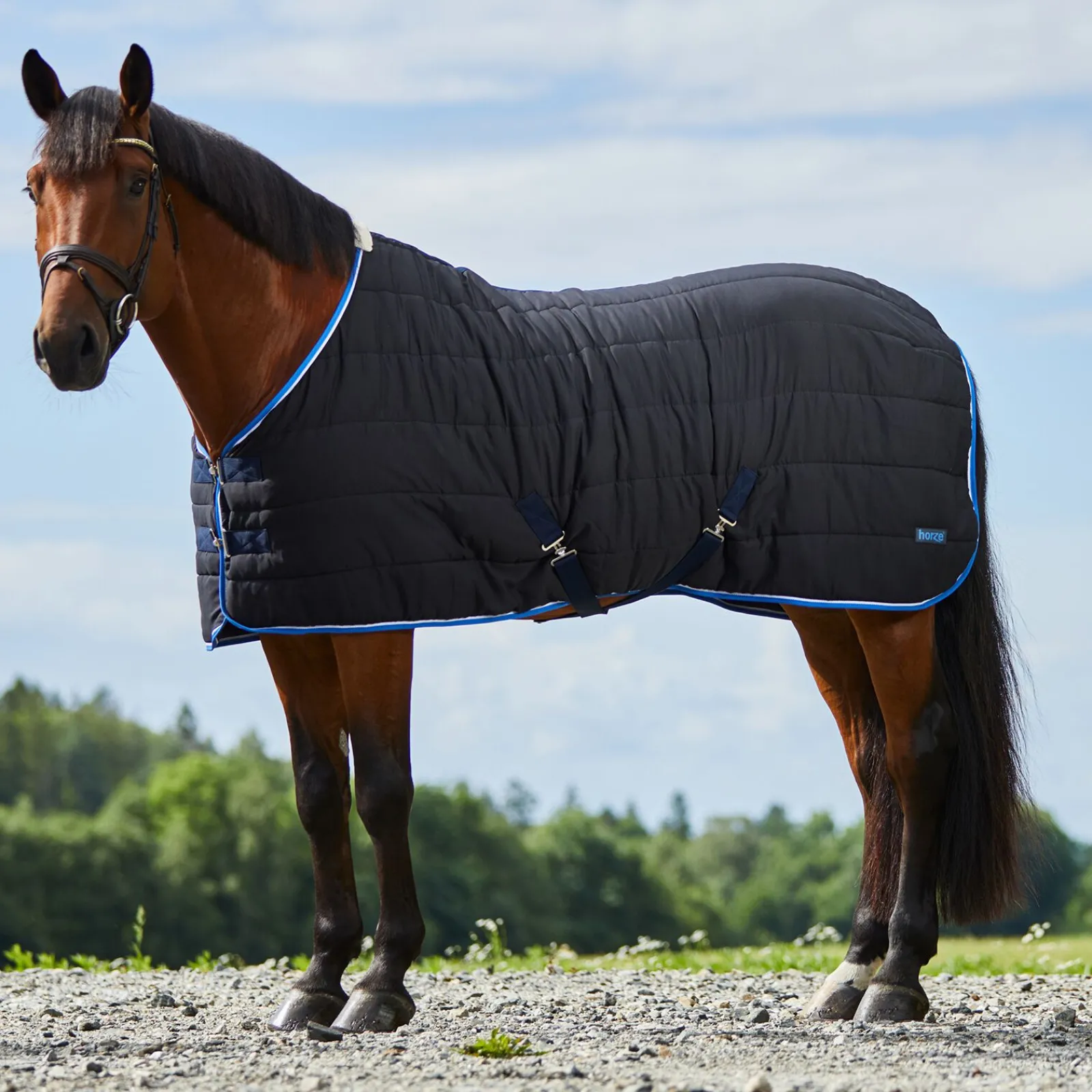 Sale Glasgow underdekken, 100 gram Stalldekken