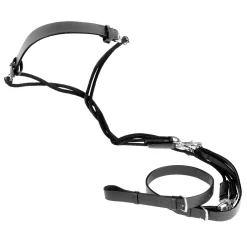 Best gogue hjelpetøyler Hjelpetøyler Og Longeringssystemer|Hjelpetøyler Og Longeringssystemer