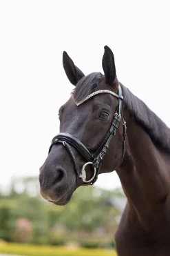 Best Grayson anatomisk hodelag til trinse Ponni Hodelag Og Grimer|Hodelag & Nesereimer