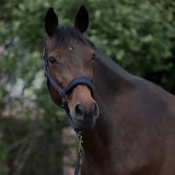 Clearance Graz grime Grimer