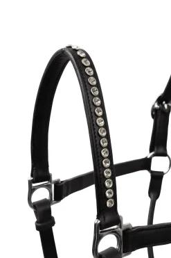 Online grime med krystaller Lærgrimer